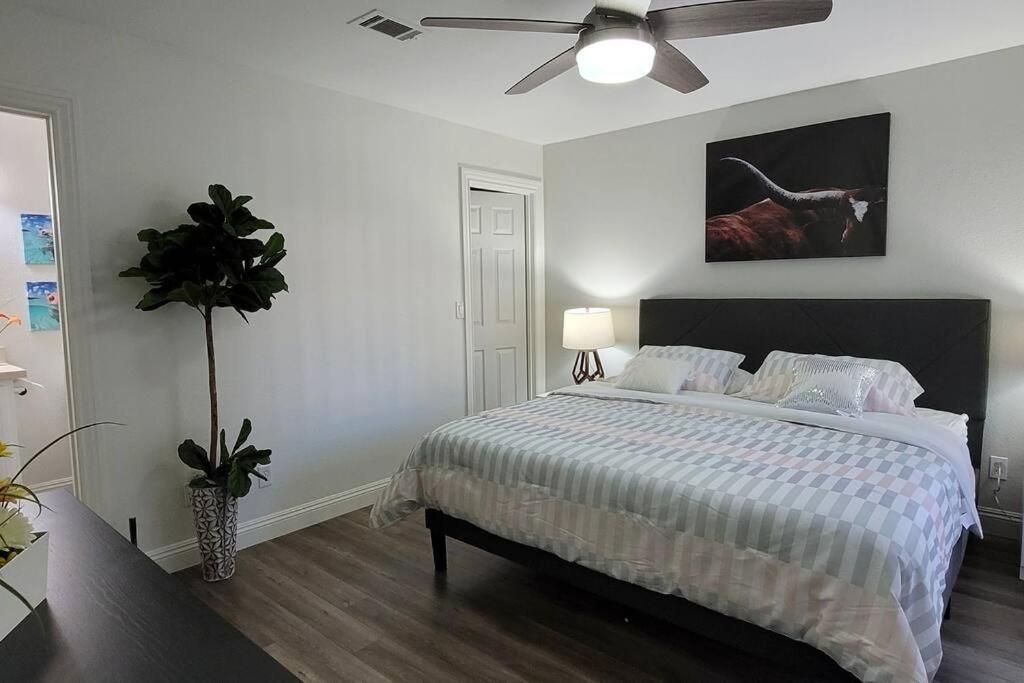 L - Fully Remodeled And Professionally Decorated 拉斯维加斯 外观 照片